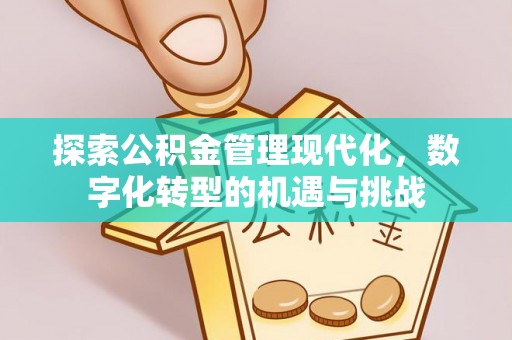 资中探索公积金管理现代化，数字化转型的机遇与挑战