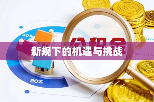 资中新规下的机遇与挑战