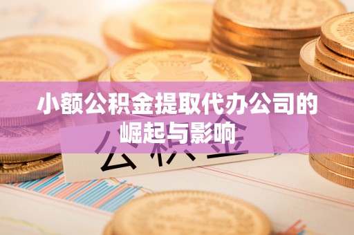 资中小额公积金提取代办公司的崛起与影响