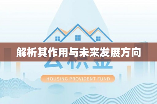 资中解析其作用与未来发展方向