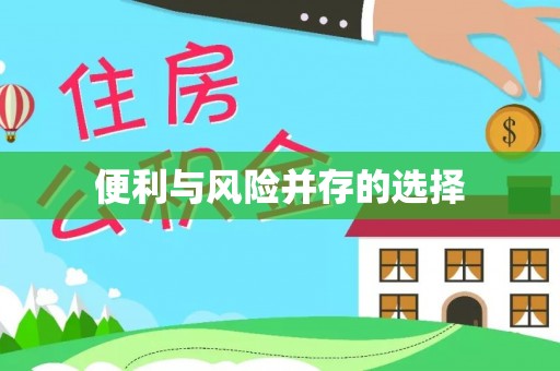 资中便利与风险并存的选择