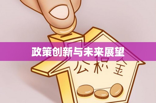 资中政策创新与未来展望